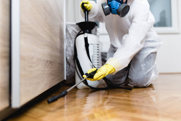 Best Affordable Pest Control Services  in Summit View, WA