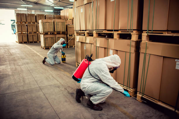 Best Pest Control Treatment  in Summit View, WA
