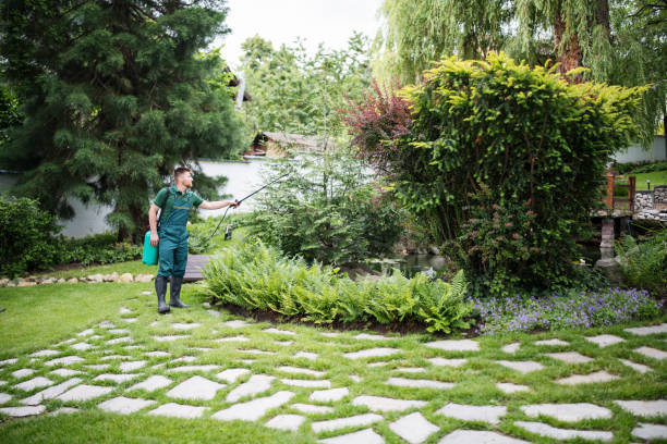 Best Affordable Pest Control Services  in Summit View, WA