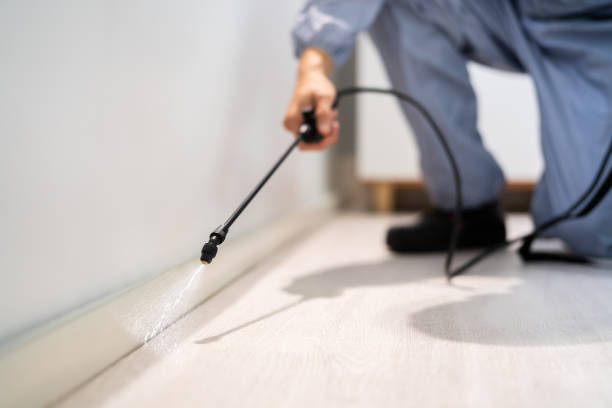 Wildlife Control Services in Summit View, WA