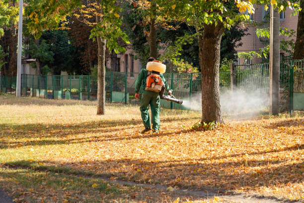 Best Pest Inspection Near Me  in Summit View, WA