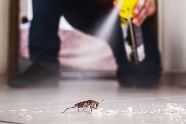 Best Pest Removal Services  in Summit View, WA